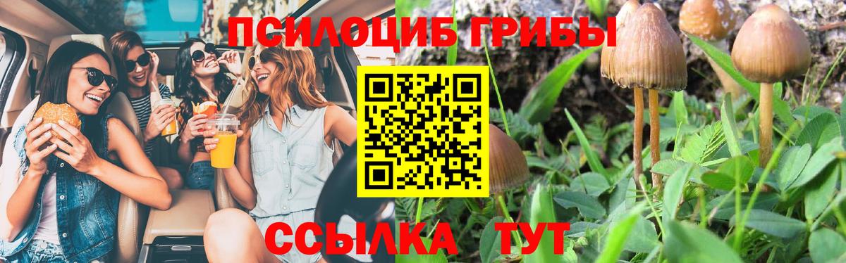 Усть-Джегута  Галлюциногенные грибы мухоморы  Псилоцибиновые грибы GOLDEN TEACHER  даркнет сайт  Вход с VPN 